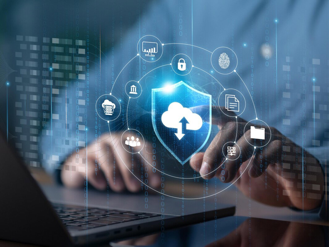 Bark’s Marketplace — Driving innovation in marketplace software development